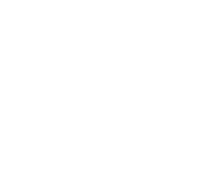 Centric Brands logo
