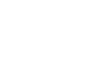 ACI International logo